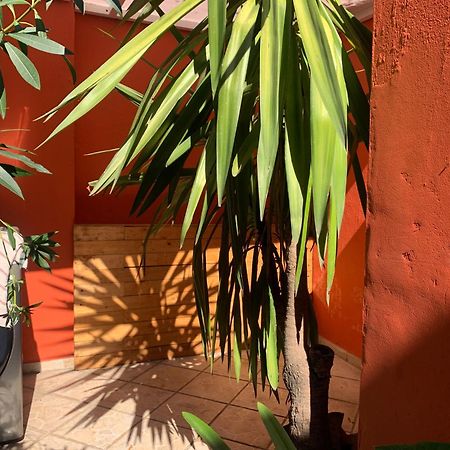 Villa Coyoacan Mexico Extérieur photo