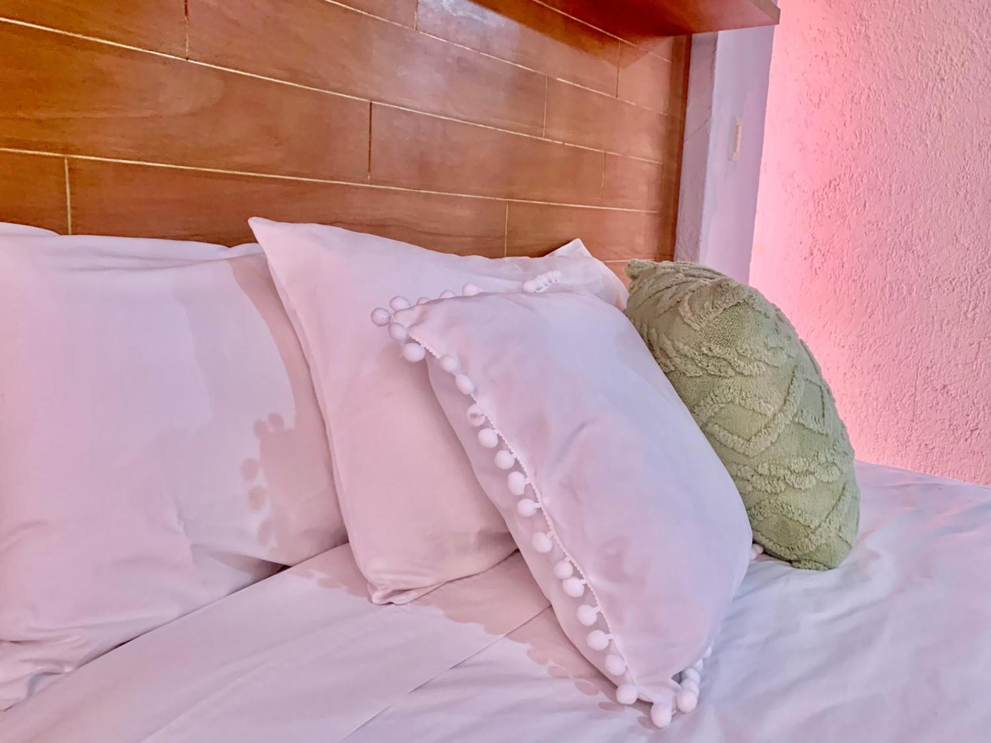 Villa Coyoacan Mexico Extérieur photo