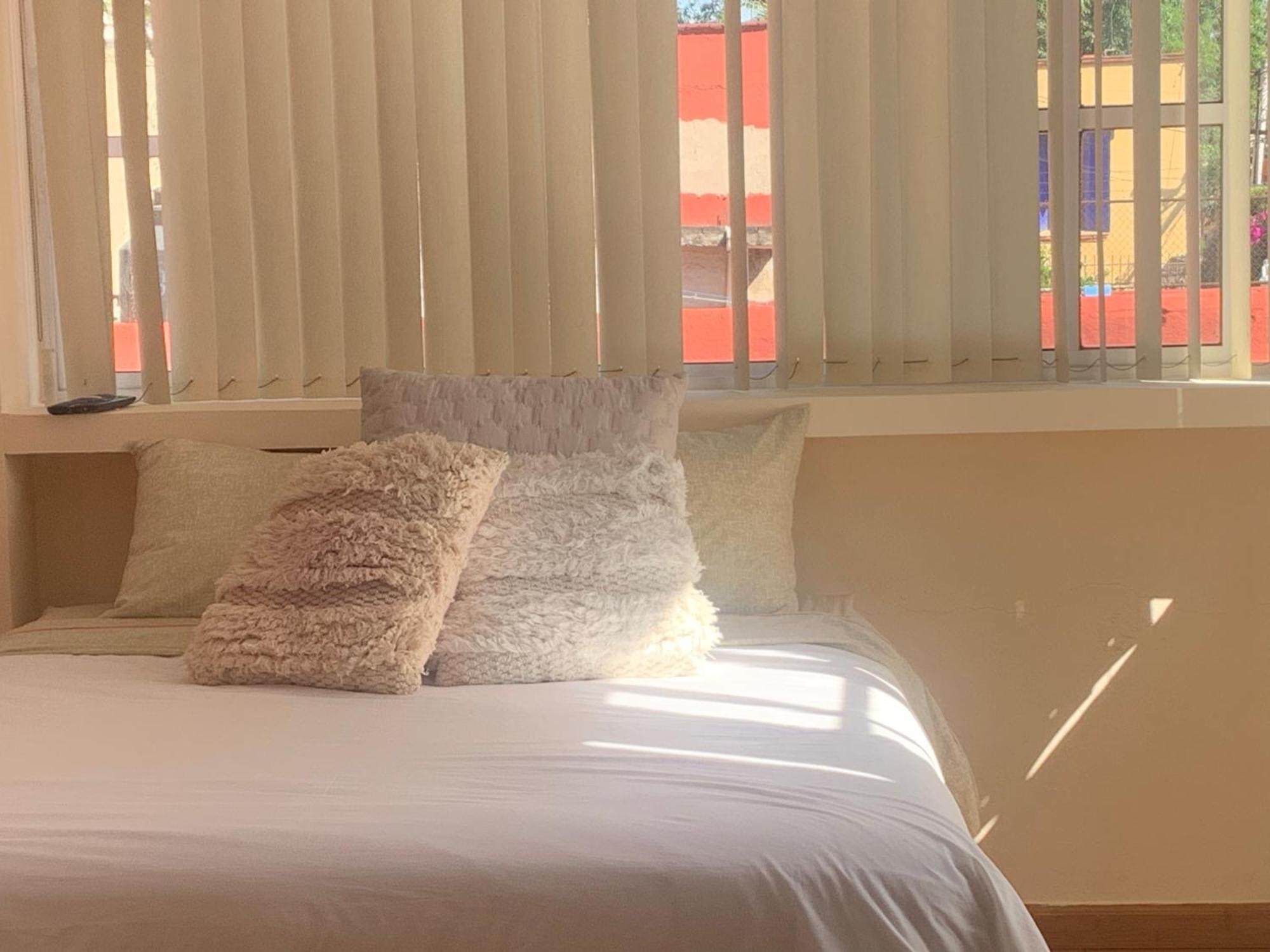 Villa Coyoacan Mexico Extérieur photo
