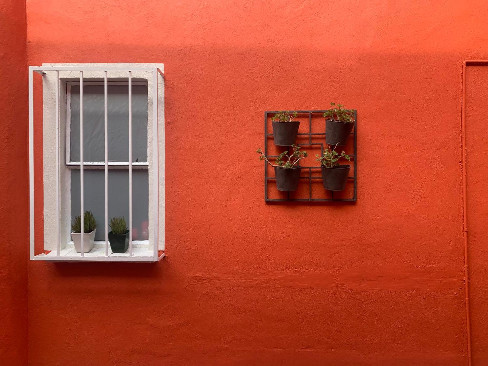Villa Coyoacan Mexico Extérieur photo