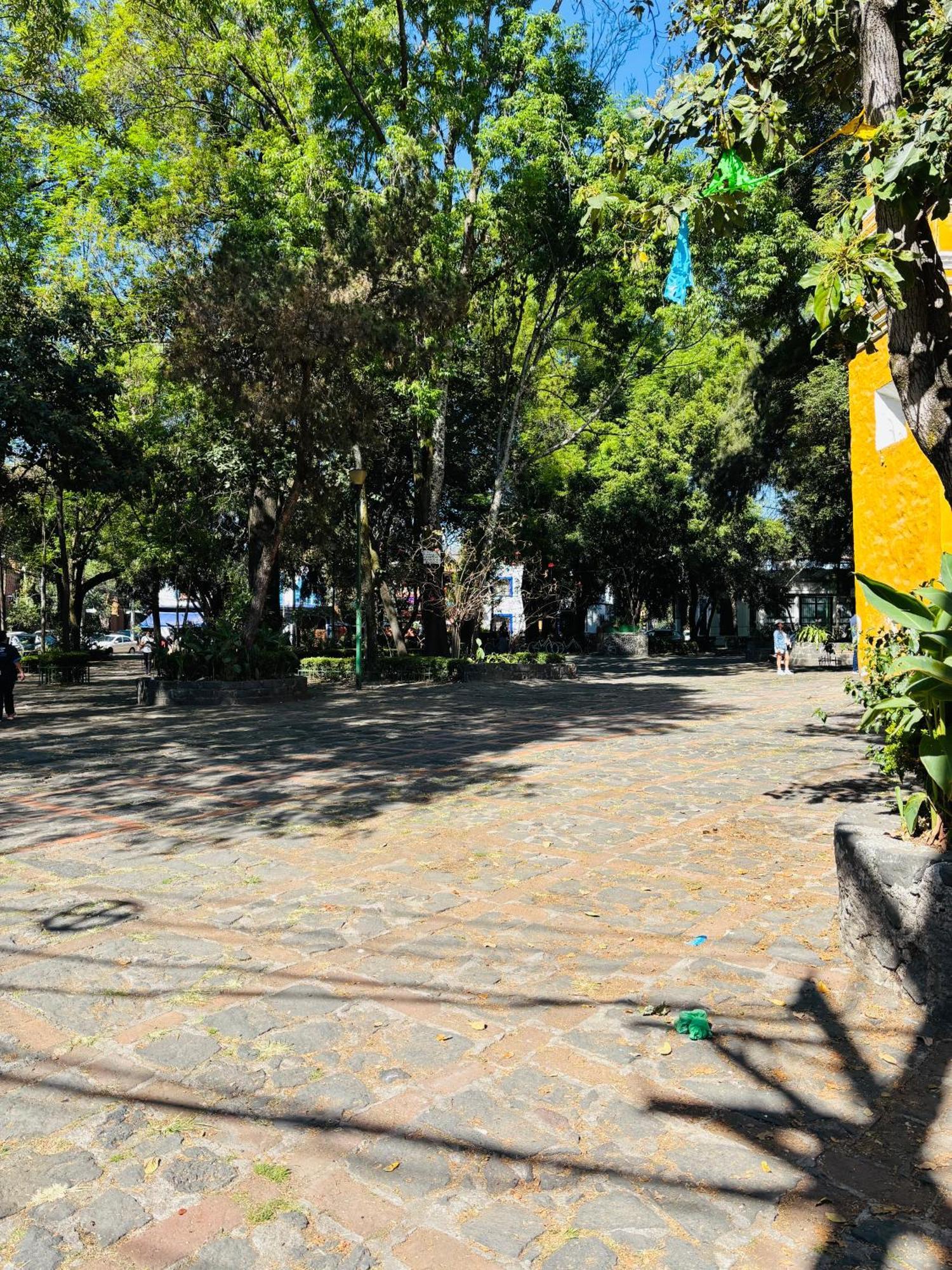 Villa Coyoacan Mexico Extérieur photo