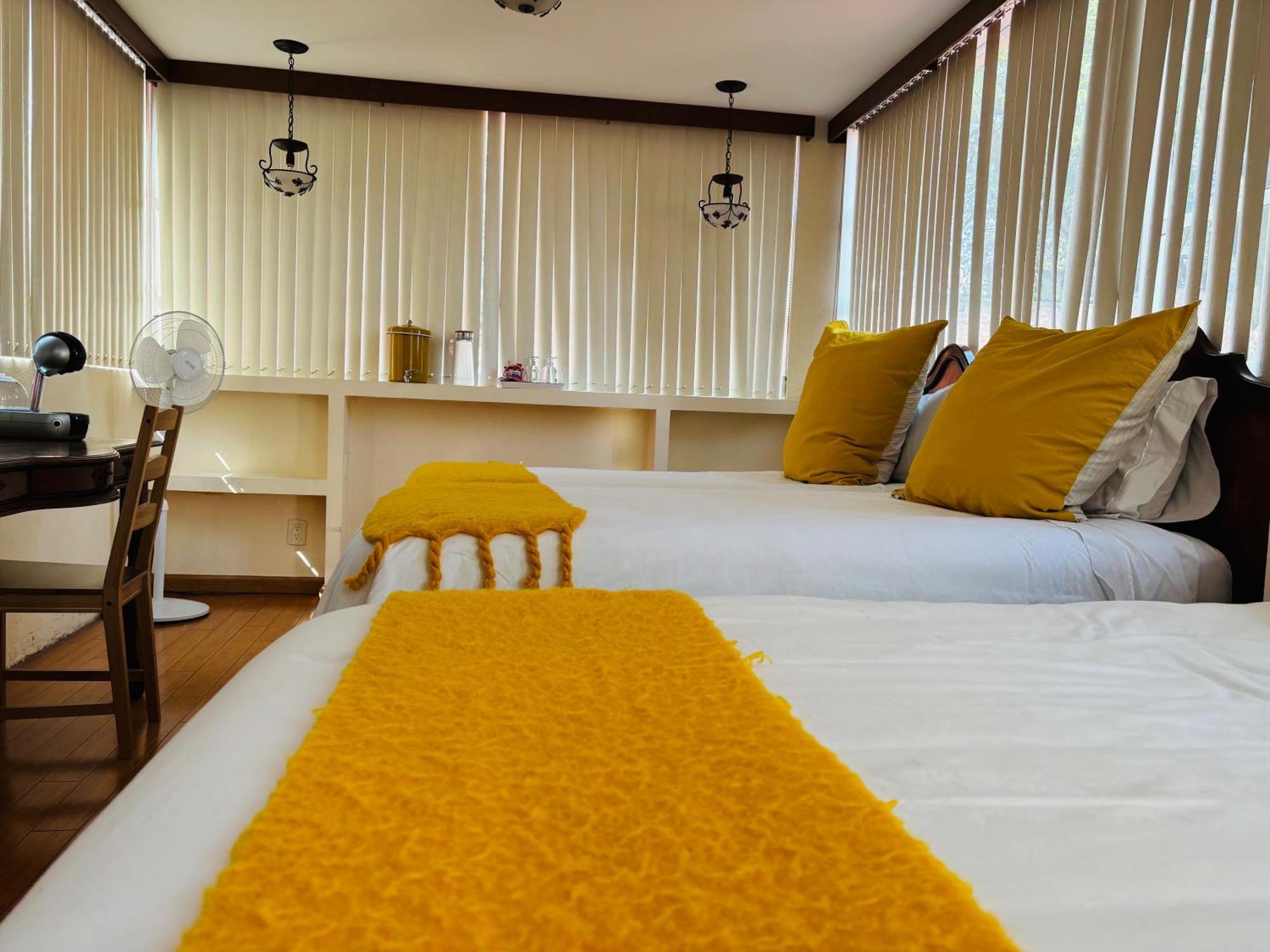 Villa Coyoacan Mexico Extérieur photo